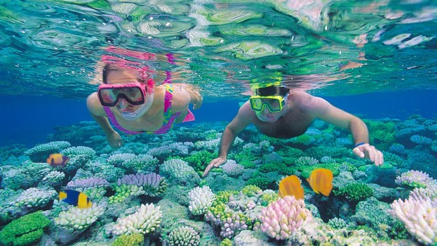 Snorkeling-and-swimming-1180x663.jpg